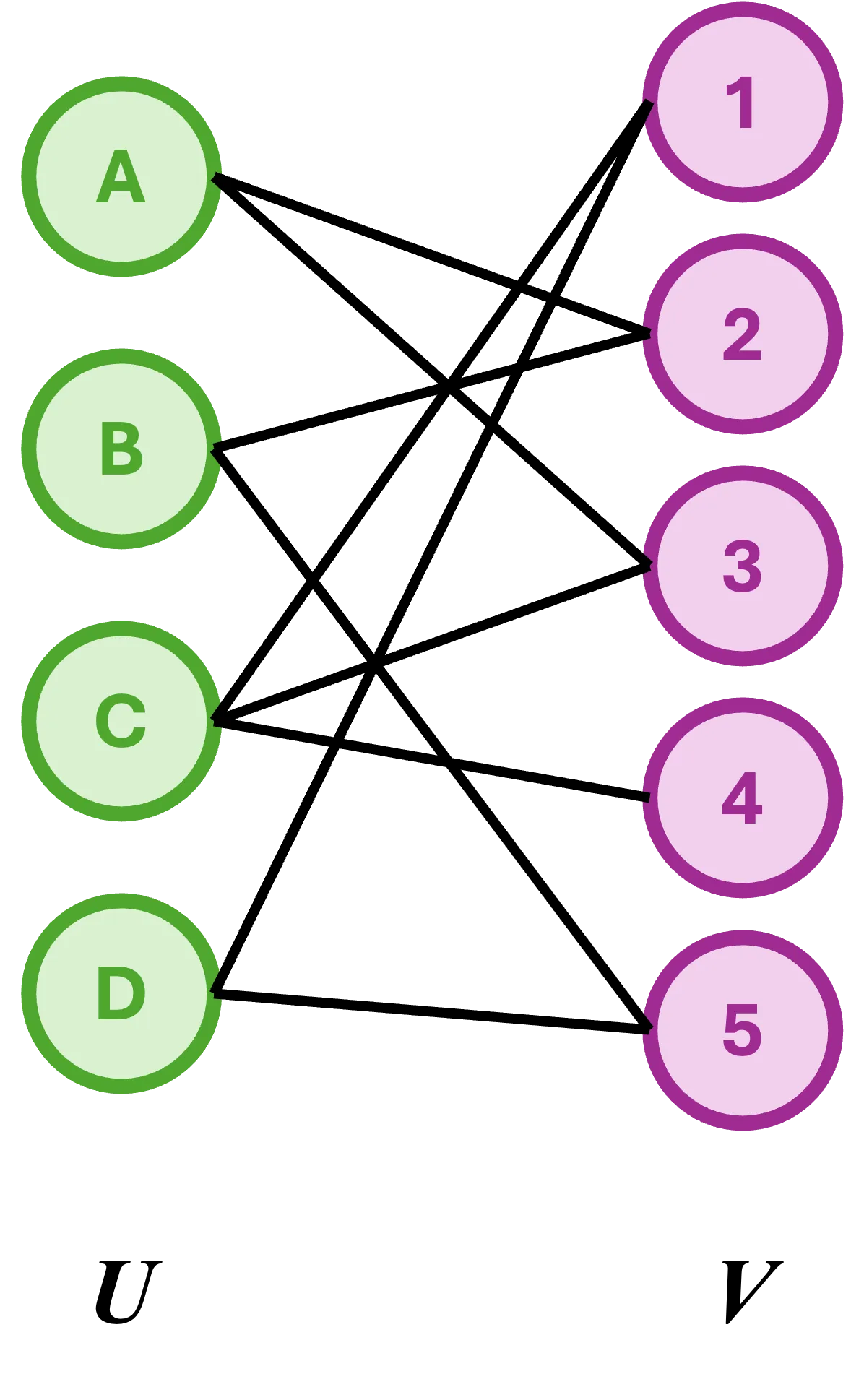 Bipartite graph